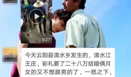 清水爆料视频,一窥事件背后真相